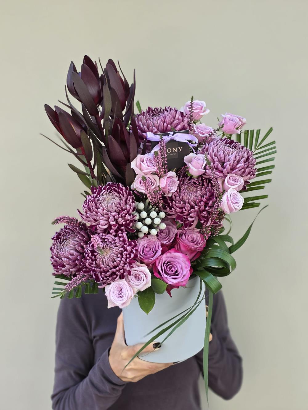 Velvet Plum Melody 